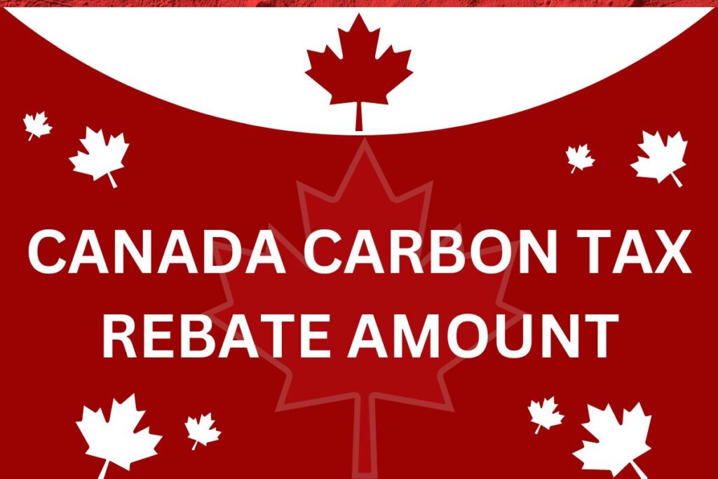 carbon tax rebate 2024

