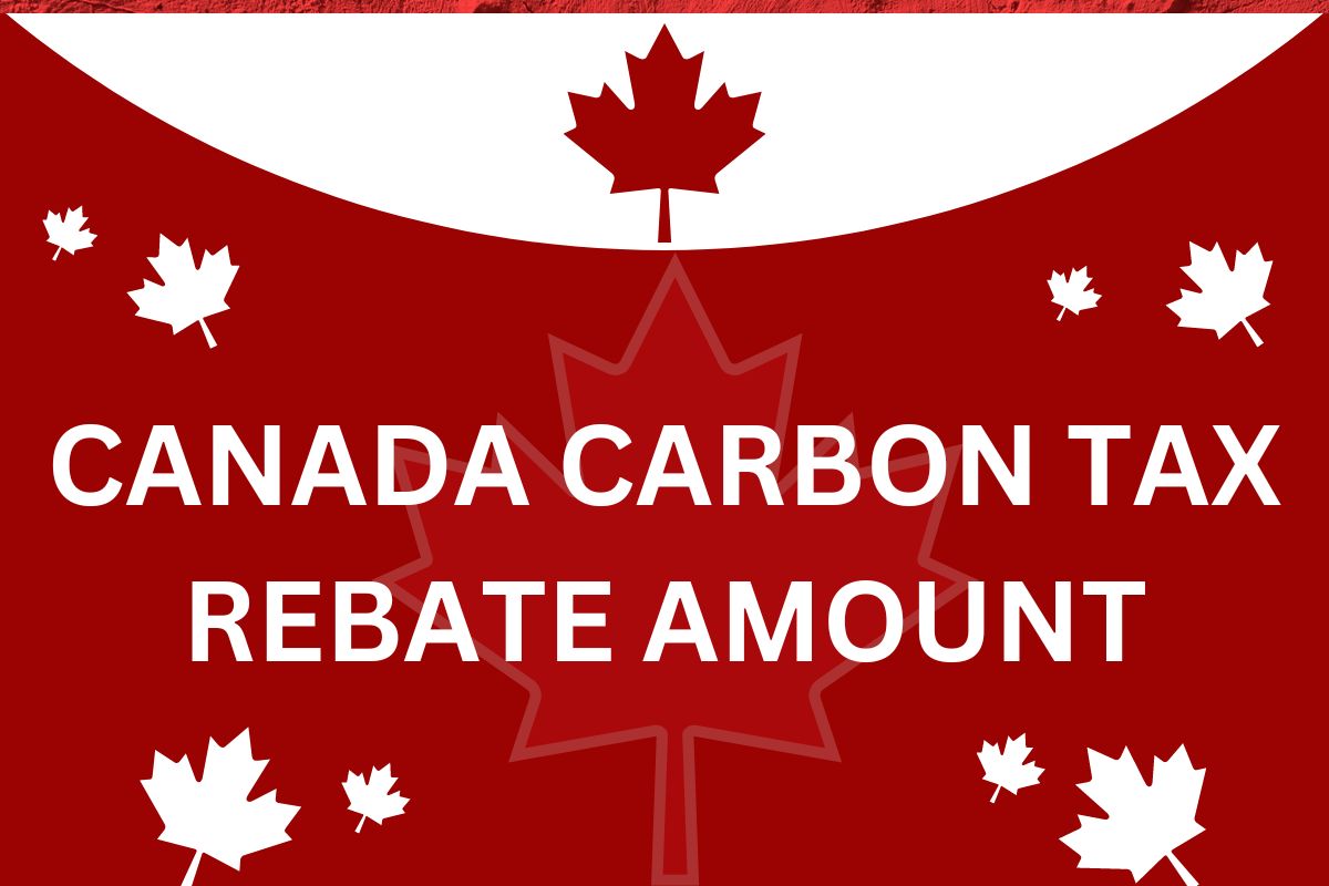 Carbon Tax Rebate July 2024 Amount and Eligibility ibbaci